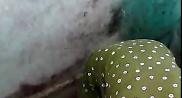 sex cô trang siêu 3 vòng Một phụ nữ trẻ fucks trong ass sex mỹ đen với một ông già.